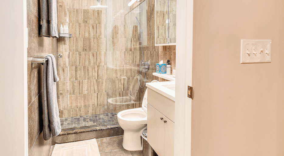 Lower Level Bathroom in Tesoro-Gramercy Apartments in NYC By Sudha